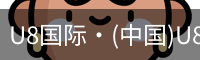U8国际